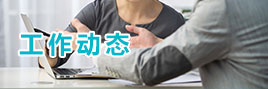 工作动态